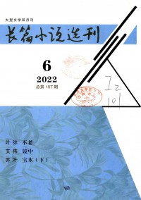 長(zhǎng)篇小說選刊雜志