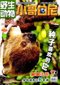 小哥白尼·野生動物畫報